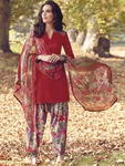 Бордовый камис (камиз) + разноцветные сальвары (шальвары) + дупатта