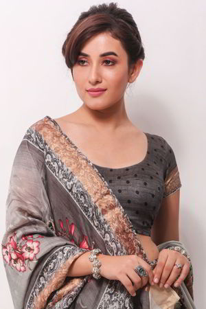 Шёлковое индийское сари, украшенное печатным рисунком