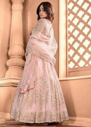 Светло-розовое длинное платье / анаркали / костюм из фатина, украшенное вышивкой люрексом с пайетками