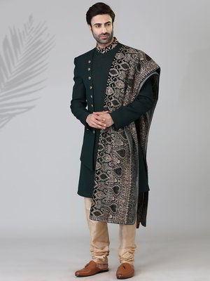 Цвета зелёной сосны индийский мужской костюм
