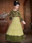 *Зелёный индийское национальное платье / костюм для девочки из креп-жоржета с длинными рукавами, украшенный вышивкой люрексом, печатным рисунком
